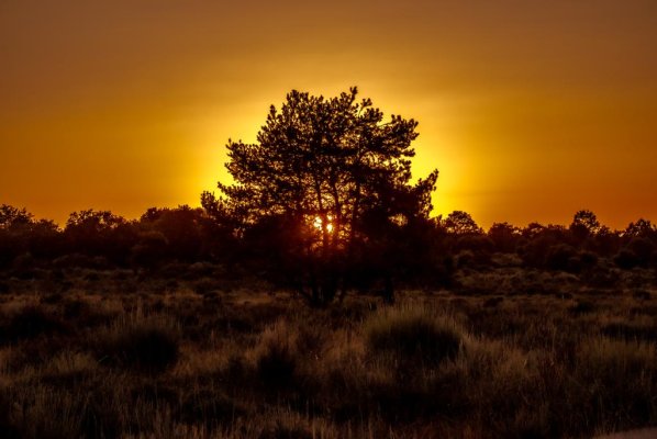 IMG-20231010-WA0017